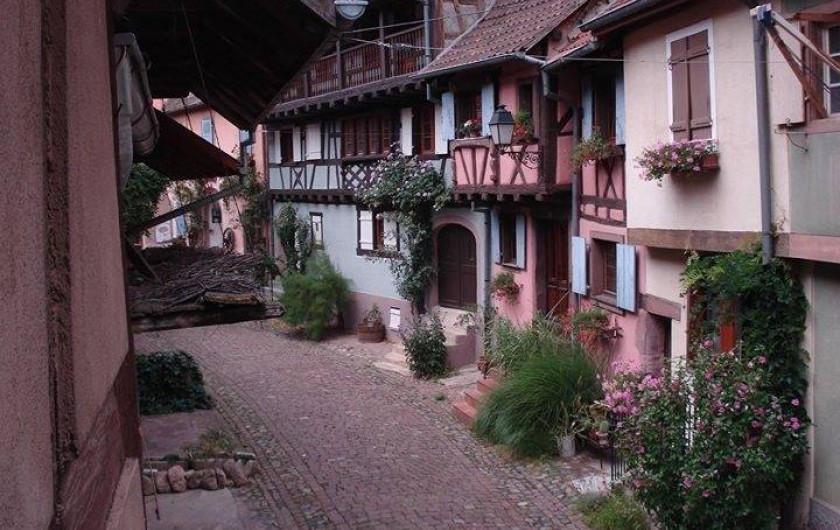 L'Alsacienne maison rose coté rue piétonne