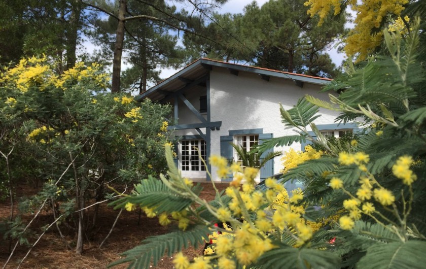 Location de vacances - Villa à Lège-Cap-Ferret