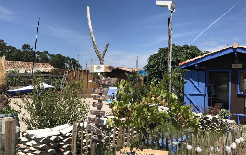 Location de vacances - Villa à Lège-Cap-Ferret