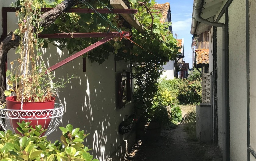 Location de vacances - Villa à Lège-Cap-Ferret