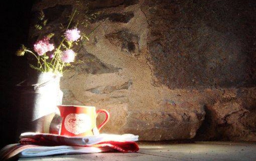 Location de vacances - Maison - Villa à Dienne