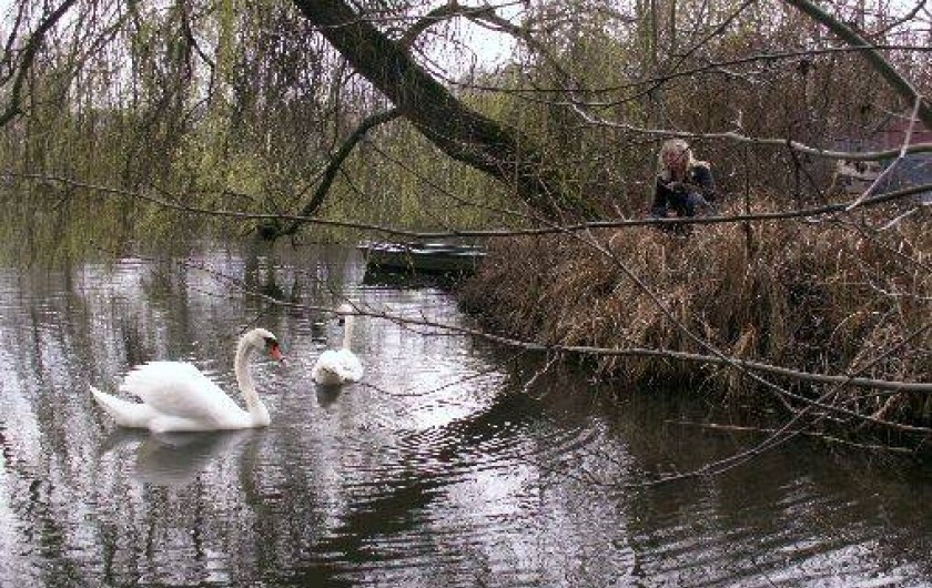 Location de vacances - Chalet à Ailly-sur-Somme