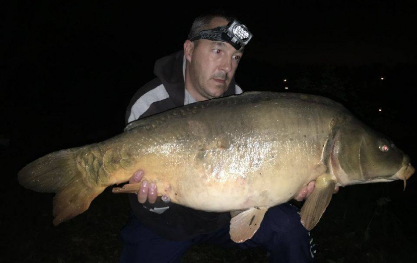 Location de vacances - Chalet à Ailly-sur-Somme