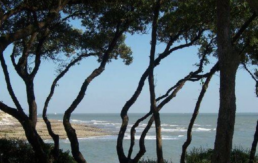 Location de vacances - Appartement à Vaux-sur-Mer