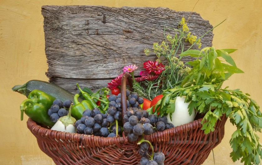Location de vacances - Gîte à Ossages - Légumes bio de notre potager en vente sur place