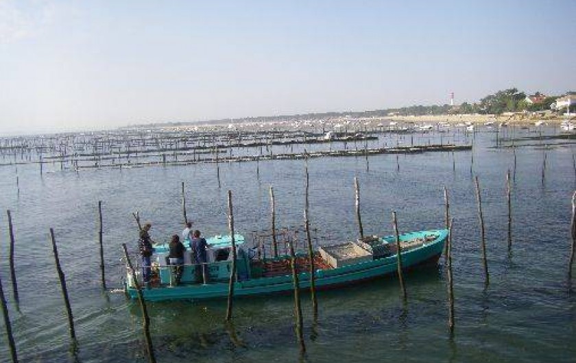Location de vacances - Studio à Lège-Cap-Ferret
