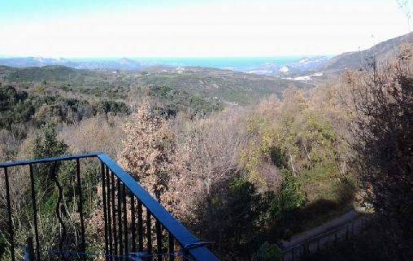 Location de vacances - Maison - Villa à Murato