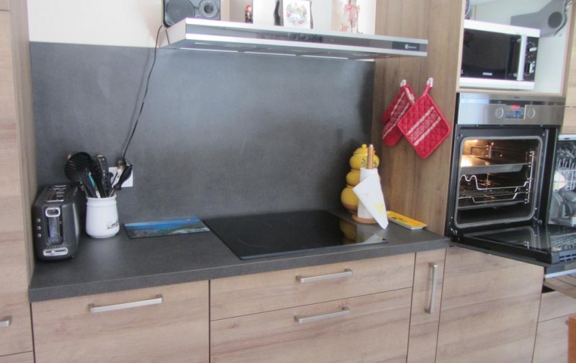 Location de vacances - Appartement à Faverges - plaque à induction et four à pyrolyse hotte