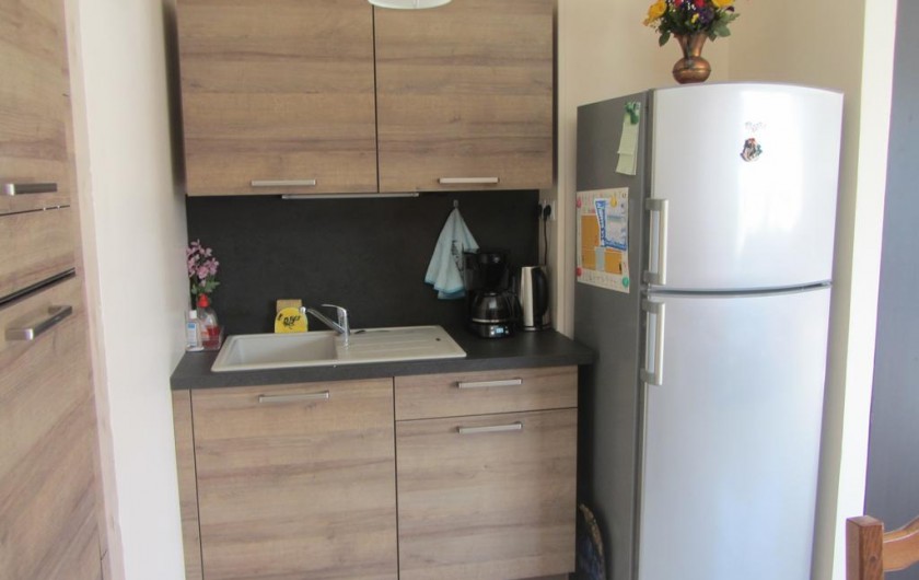 Location de vacances - Appartement à Faverges - coin évier et frigo congel