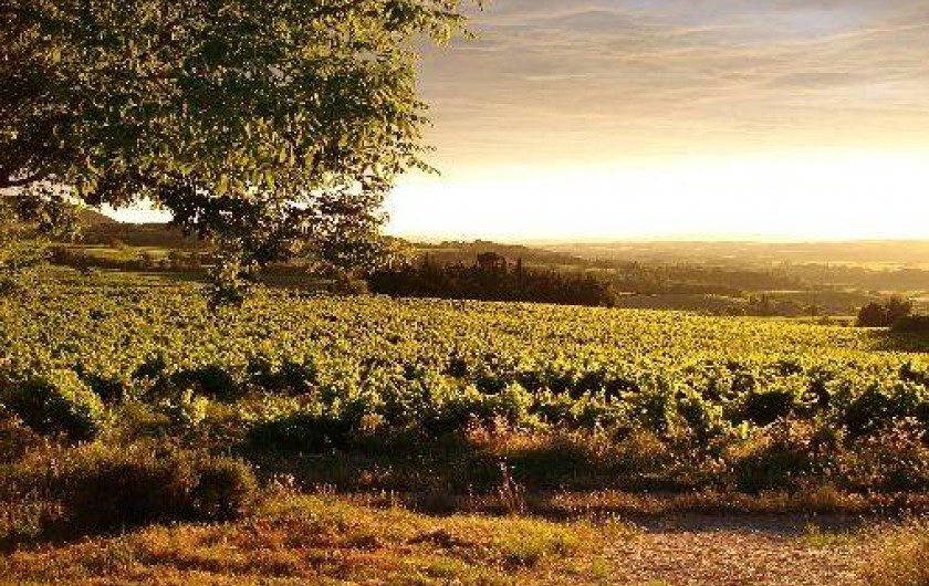 Location de vacances - Maison - Villa à Villedieu - Vue de la maison