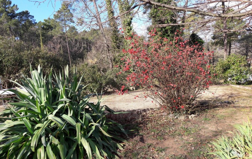 Location de vacances - Maison - Villa à Montauroux - terrain de pétanque