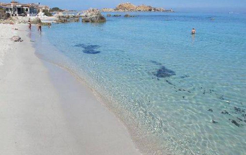 Location de vacances - Appartement à L'Île-Rousse