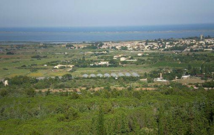 Location de vacances - Gîte à Vic-la-Gardiole