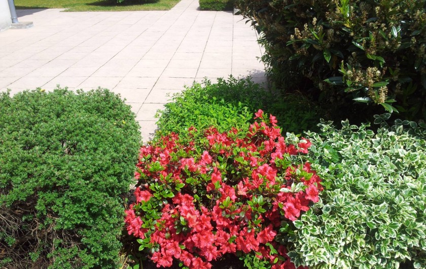 Location de vacances - Chalet à Le Menil - Terrasse côté sud