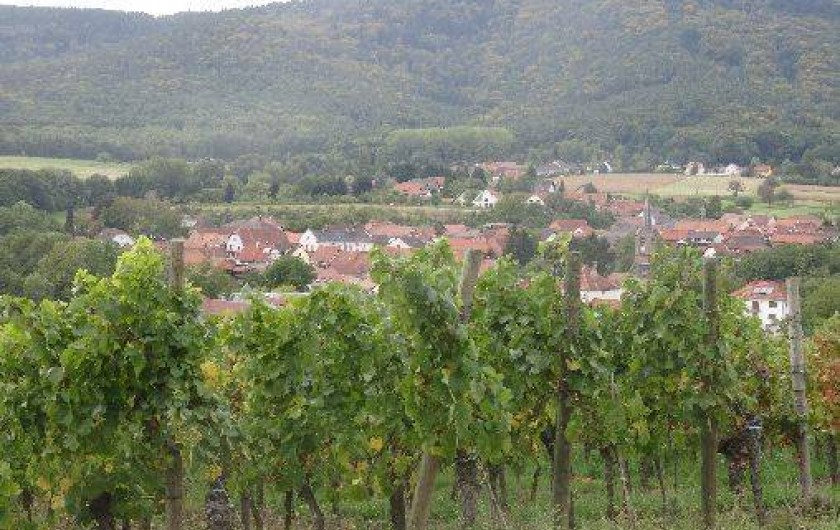 Location de vacances - Maison - Villa à Cleebourg