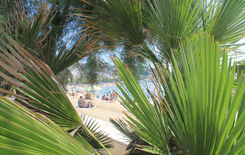 Location de vacances - Maison - Villa à Le Lavandou