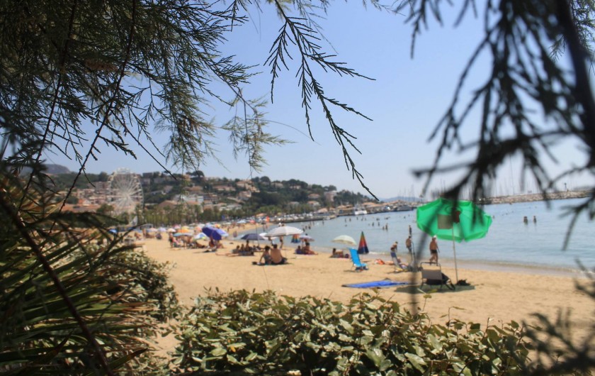 Location de vacances - Maison - Villa à Le Lavandou