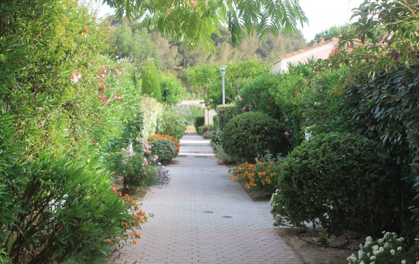 Location de vacances - Maison - Villa à Le Lavandou