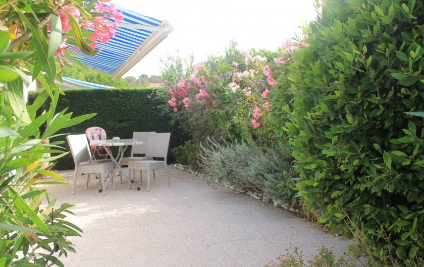 Location de vacances - Maison - Villa à Le Lavandou