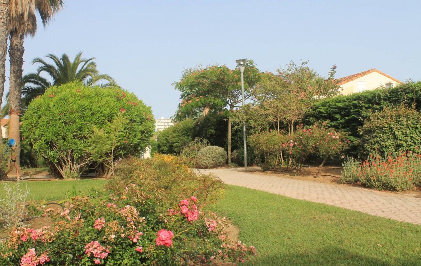 Location de vacances - Maison - Villa à Le Lavandou - devant la maison