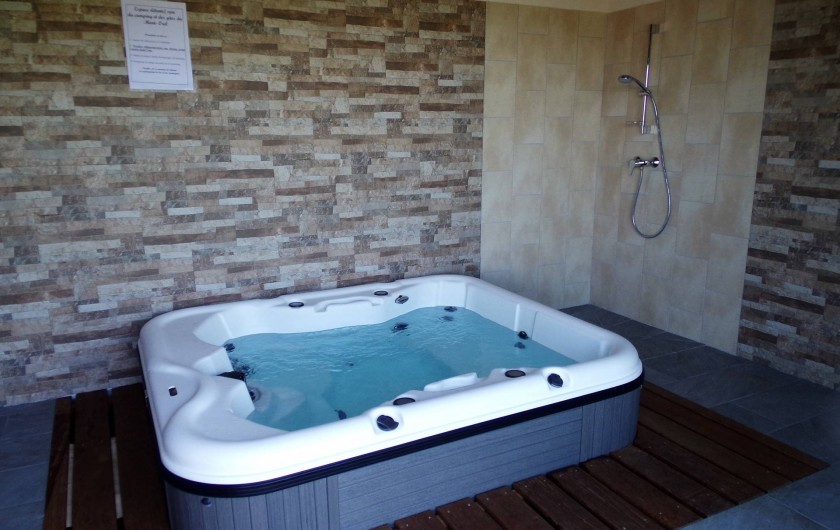 Location de vacances - Chalet à Saint-André-d'Embrun - Espace détente / spa