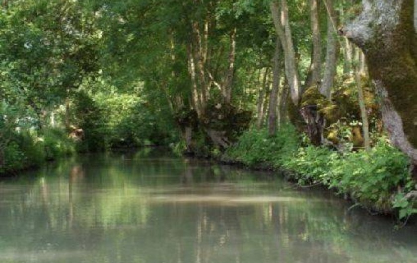 Location de vacances - Maison - Villa à Saint-Hilaire-la-Palud