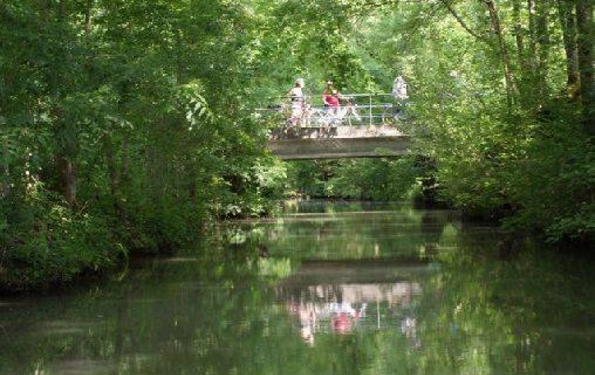Location de vacances - Maison - Villa à Saint-Hilaire-la-Palud