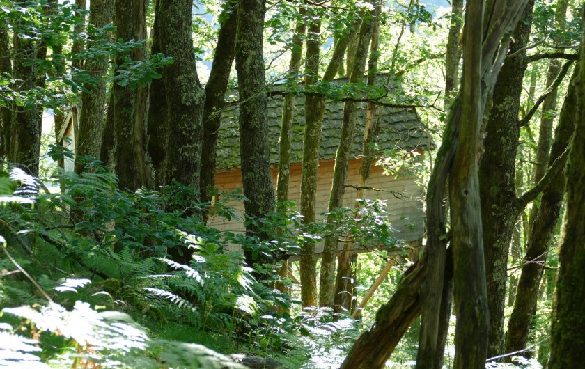 Location de vacances - Chambre d'hôtes à Saint-Martial-Entraygues - Cabane "Houx Blond"