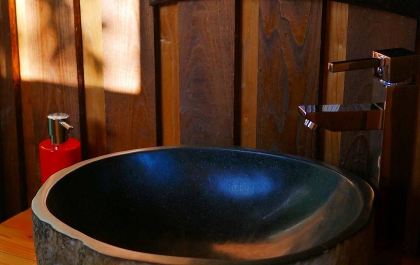 Location de vacances - Chambre d'hôtes à Saint-Martial-Entraygues - Salle de bain de la cabane "Epicea Souhait"