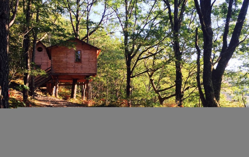 Location de vacances - Chambre d'hôtes à Saint-Martial-Entraygues - Cabane Familiale 4 à 6 personnes - "Des Chesnaies"