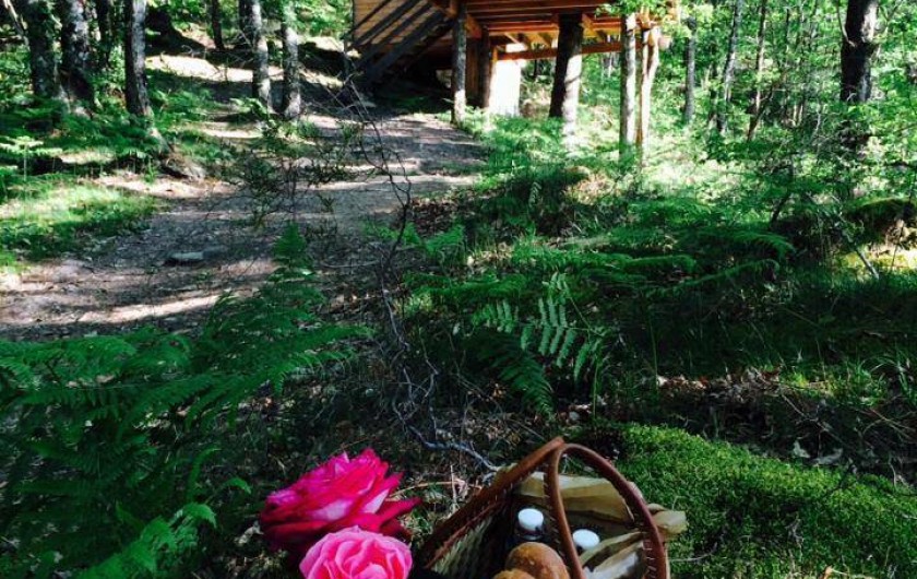 Location de vacances - Chambre d'hôtes à Saint-Martial-Entraygues - Panier petit déjeuner