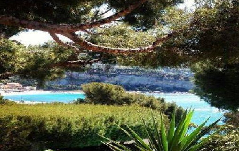 Location de vacances - Villa à Cassis