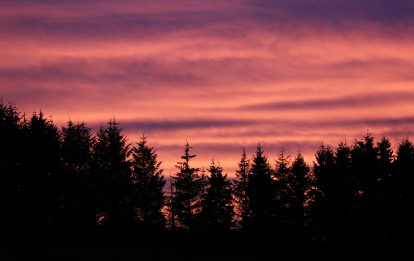 Location de vacances - Gîte à Allanche
