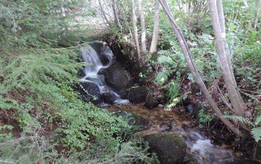 Location de vacances - Chalet à Bussang