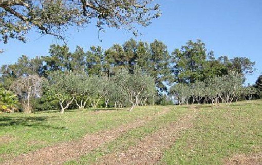 Location de vacances - Chambre d'hôtes à Pianottoli-Caldarello