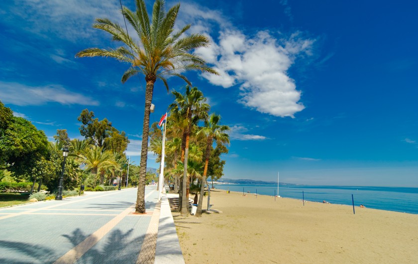 Location de vacances - Chalet à Marbella - Végétation exotique sur l'esplanade de San Pedro Playa
