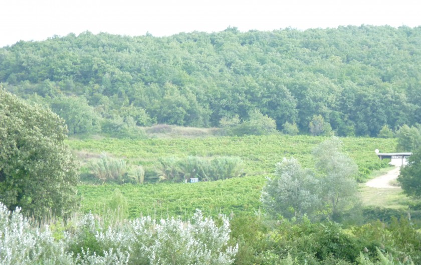 Location de vacances - Gîte à Châteauneuf-du-Rhône