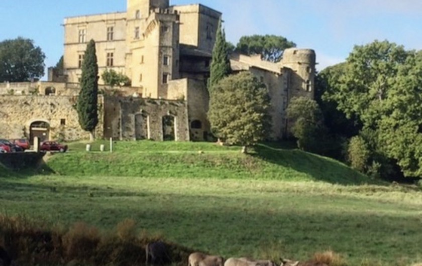 Le château de Lourmarin (à 15 mn de la ferme)