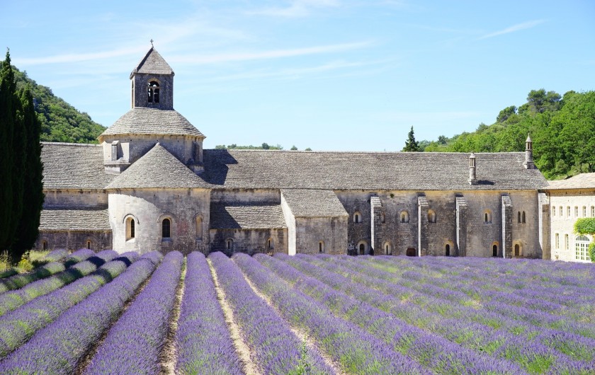 L'abbaye de Sénanque (1 heure de route de la ferme)