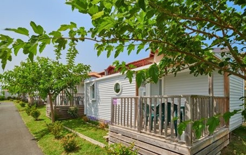 Location de vacances - Camping à Biarritz - Mobil home - Biarritz Camping Pays Basque