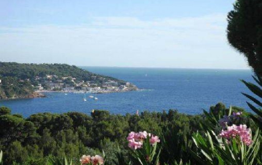 Location de vacances - Appartement à Le Pradet