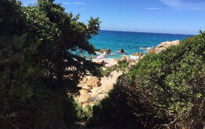 Location de vacances - Villa à Olmeto