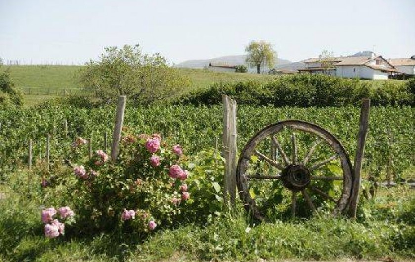 Location de vacances - Maison - Villa à Espelette