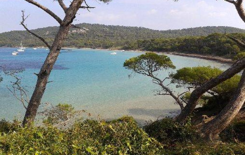 Location de vacances - Studio à Saint-Mandrier-sur-Mer