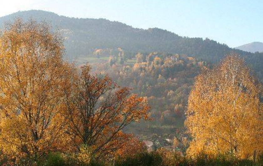 Location de vacances - Appartement à Muhlbach-sur-Munster