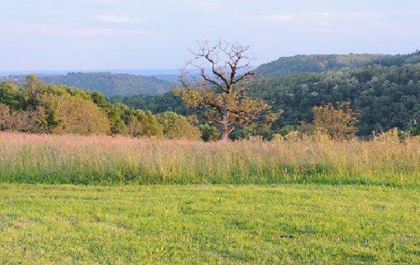 Location de vacances - Roulotte à Sadroc