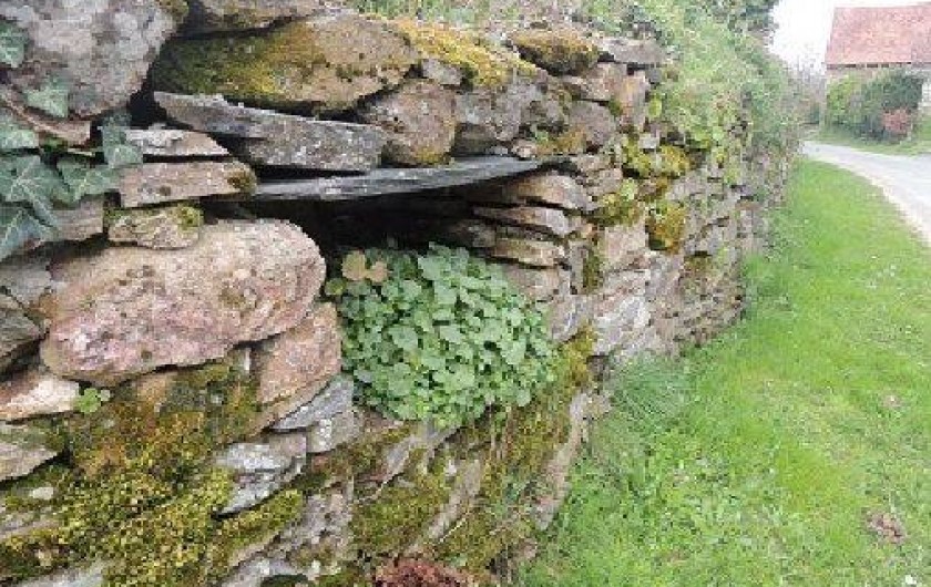 Location de vacances - Roulotte à Sadroc