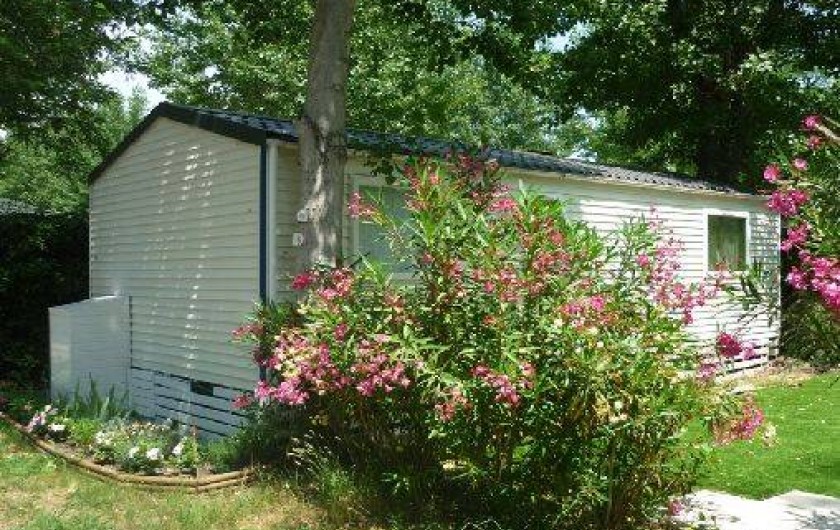 Location de vacances - Camping à Saint-Aygulf