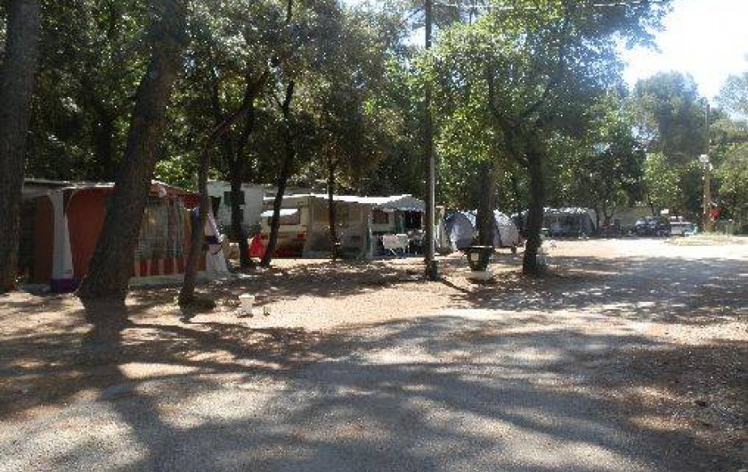 Location de vacances - Camping à Sorgues