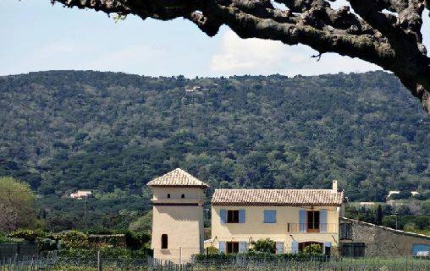 Location de vacances - Villa à Ramatuelle